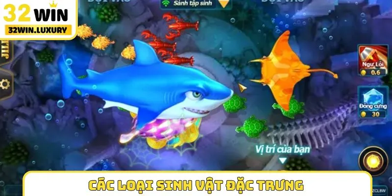 Các loại sinh vật đặc trưng trong bắn cá đảo ngọc